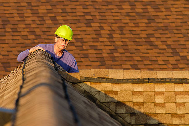 Roof Gutter Cleaning in Ahuimanu, HI